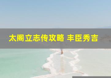 太阁立志传攻略 丰臣秀吉